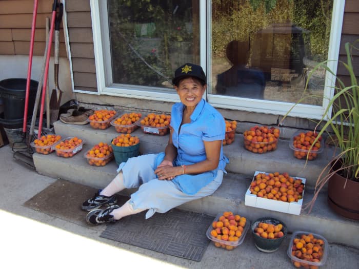 We had many of our fruits in abundance, enough to share, and for fruit leathers and canning for the unknown days ahead.