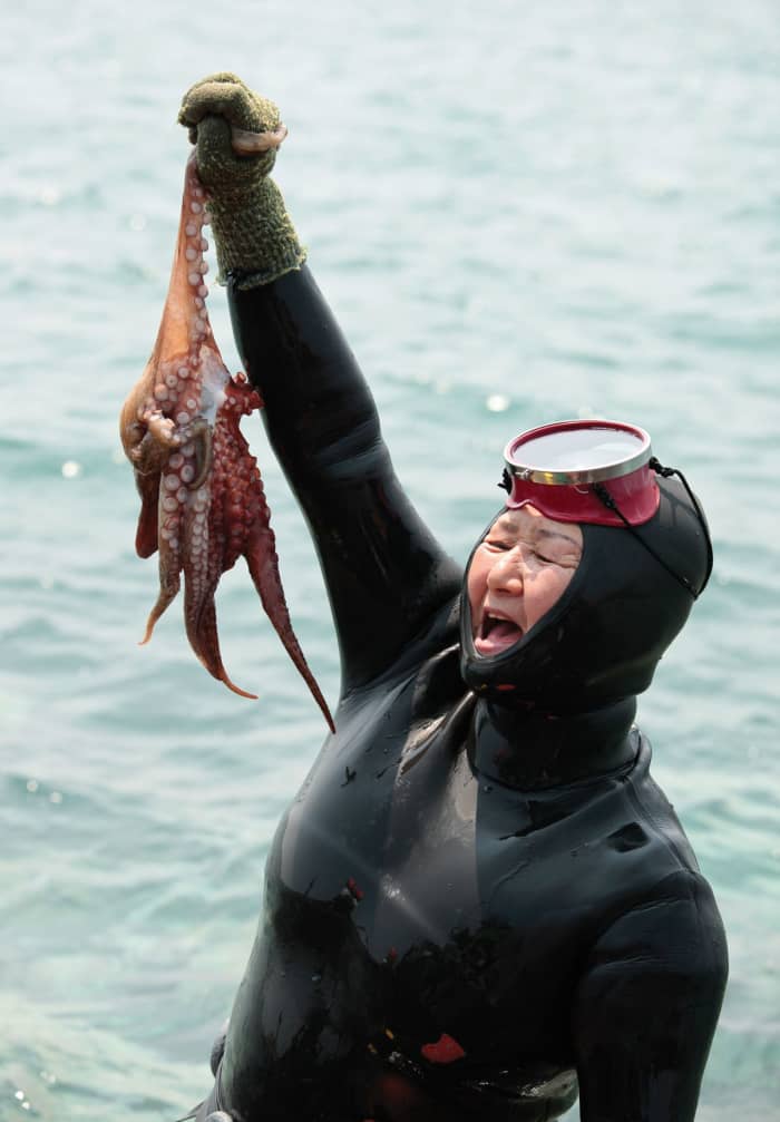 Yes, the tradition is dying, particularly as the newer generations have decided to take jobs in cities, but the haenyeo is still one of the most honoured and respected women on the island.