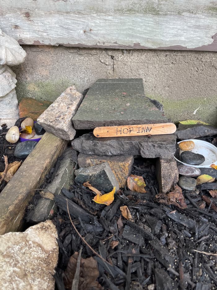 A toad house in my garden. If you look very closely, you can see a toad climbing into the house on the left side. He blends into his environment very well, camouflaging him from potential predators.