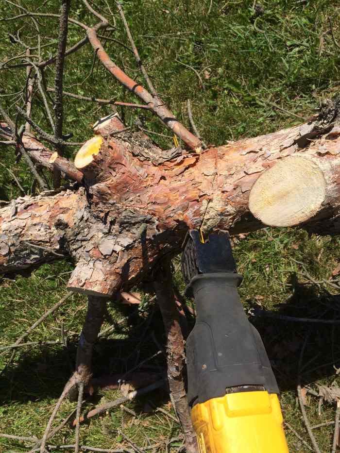 Cutting Down Trees Thoughtfully HubPages