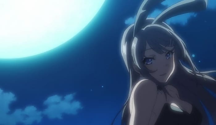 "Rascal Does Not Dream of Bunny Girl Senpai" by Hajime Kamoshida