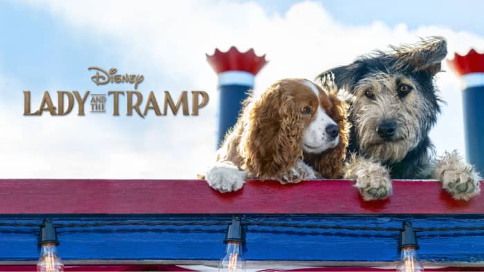 In 1955, Disney’s Lady and the Tramp, an animated film about a pampered cocker spaniel named Lady, was released.
