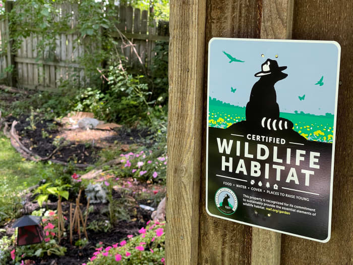 How To Turn Your Own Backyard Into A Certified Wildlife Habitat - Dengarden