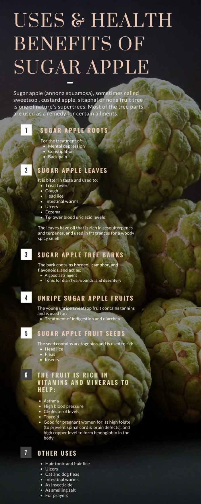 Uses and Health Benefits of Sweetsop or Sugar Apple Fruit Trees HubPages