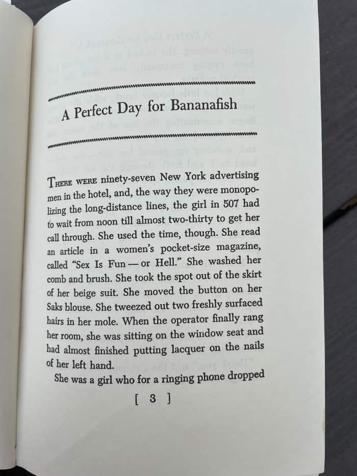 River Rocks 1 "A Perfect Day for Bananafish” by JD Salinger, "Rock