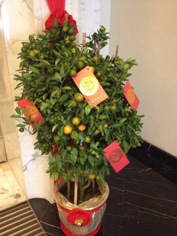 Chinese New Year 2022 - Traditions and Customs - HubPages