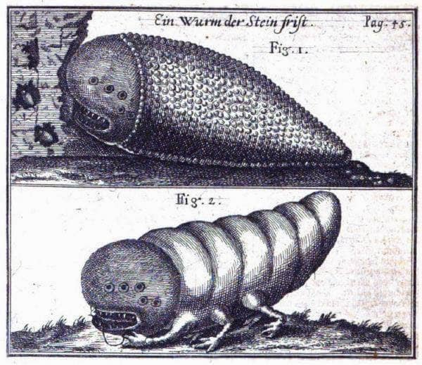 The Talmud describes it as a “cutting worm” and the Zoar mentions it as a “metallic dividing worm”. In the tanach, Jeremiah it is described as a ‘stylus (the pen used at the time to engrave on the wax tablets) with a hard tip made out of a worm’