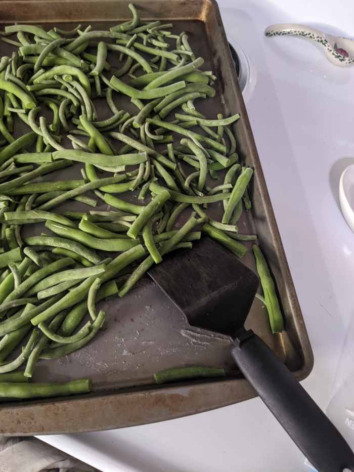Green Beans Freezing Fresh without Blanching HubPages