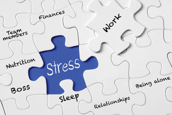 Managing Stress Successfully 