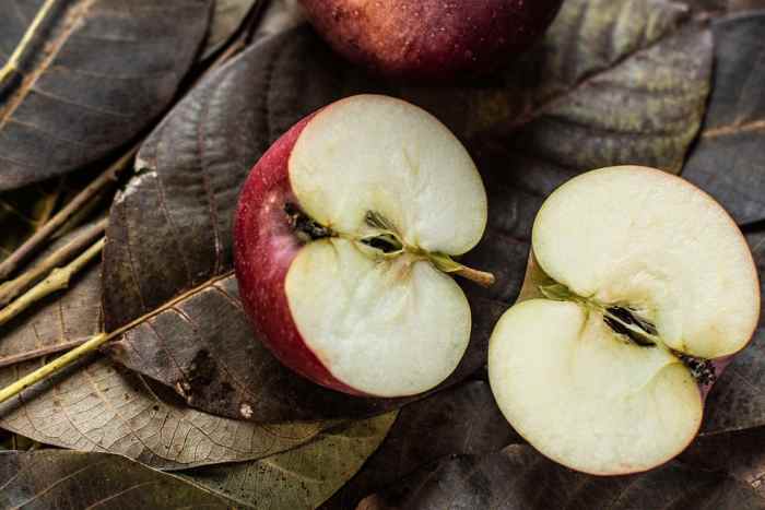 how-do-you-grow-apple-trees-from-seeds