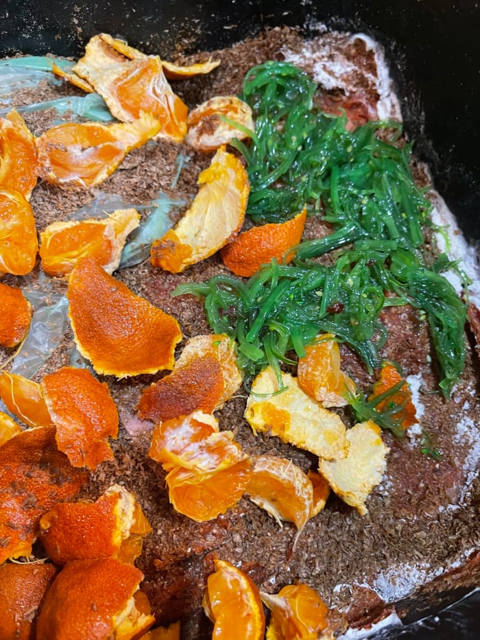 A layer of food scraps before applying a layer of bokashi bran. In this case, the food scraps are rotting oranges and old seaweed salad.