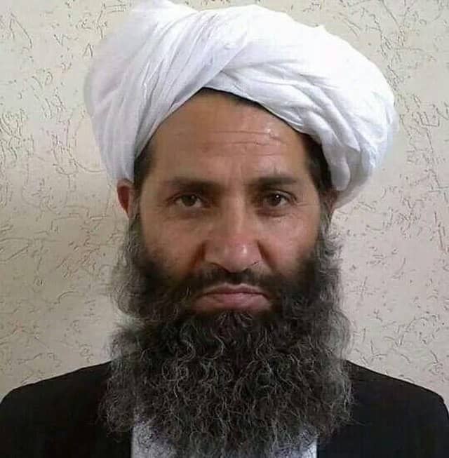 Instead of 20 years of expensive war, could we have gotten in on the ground floor with Taliban turbaned heads?