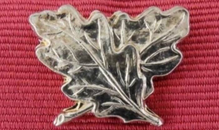 den krydsede sølv eg blade emblem for tapperhed slidt på båndet af Ordenen af det britiske imperium.