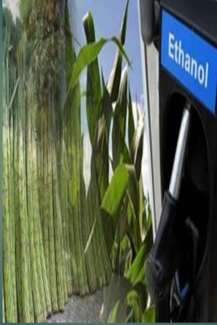 Ethanol is mainly made from sugarcane, maize, potatoes, sunflower, beet. Ethanol is separated from spoiled substances such as sugarcane, wheat or rice husks.
