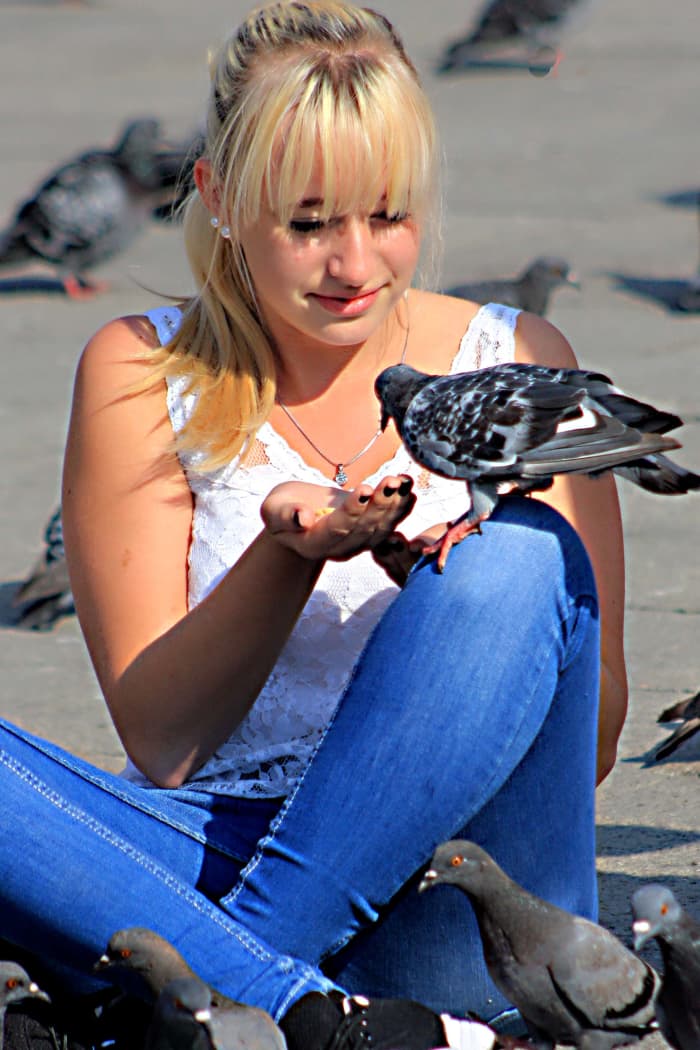Feeding pigeons in the Piazza San Marco - not approved of by the council who want to clean up the Square, but still it goes on