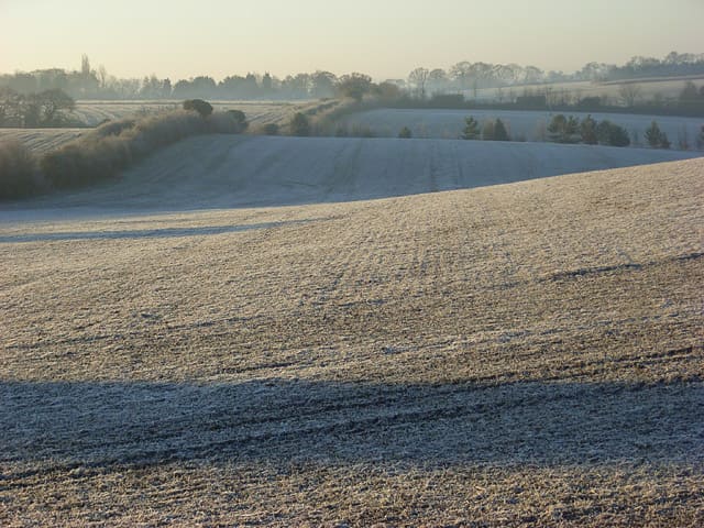 Today a modern subdivision stands upon the site of Dine's "Benson Observatory," but this photo of farmland outside the village gives us an idea of the terrain Dines called home. Image courtesy Andrew Smith and Wikimedia Commons.
