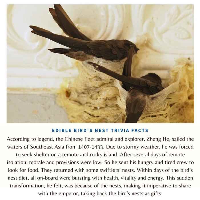 Edible Bird's Nest, Bird's Nest Soup, Bird's Nest Drink What's the