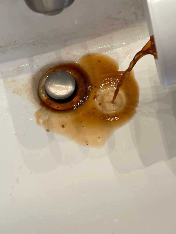 Pouring the bokashi tea down the bathroom sink drain.