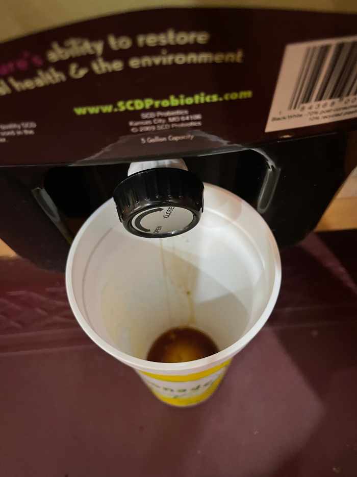 Collecting the bokashi tea from the bokashi bin into a cup.