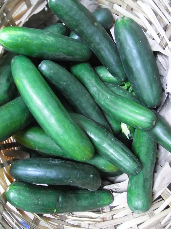 health-benefits-of-cucumber-and-cucumber-juice