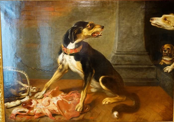 what-research-reveals-about-resource-guarding-in-dogs