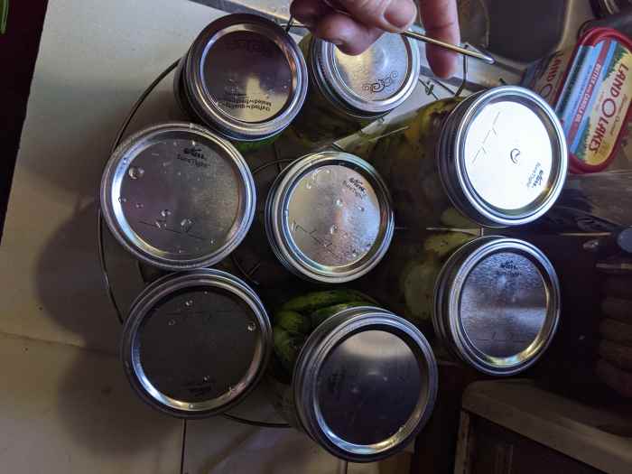 Pickles Bread and Butter Flavor Mrs. Wages Mix HubPages