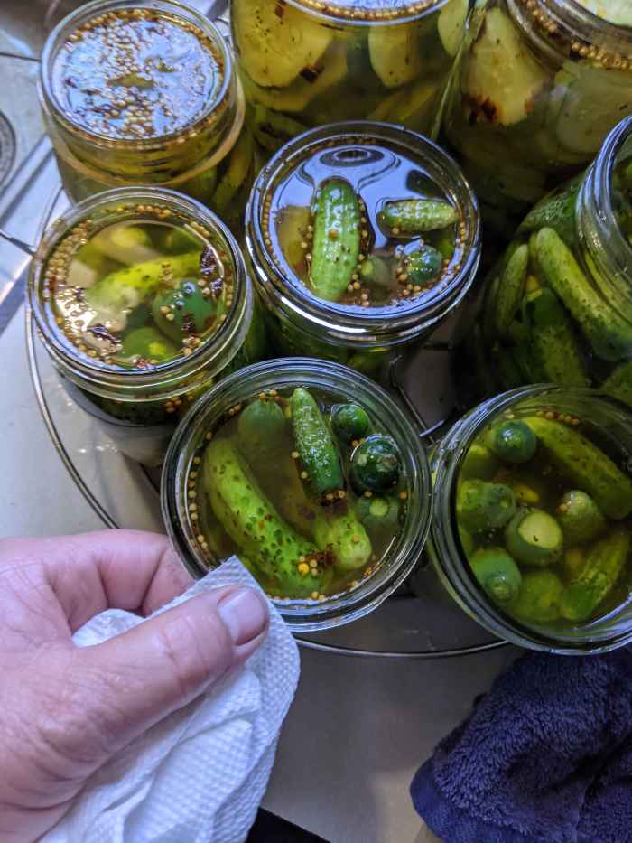 Pickles Bread and Butter Flavor Mrs. Wages Mix HubPages