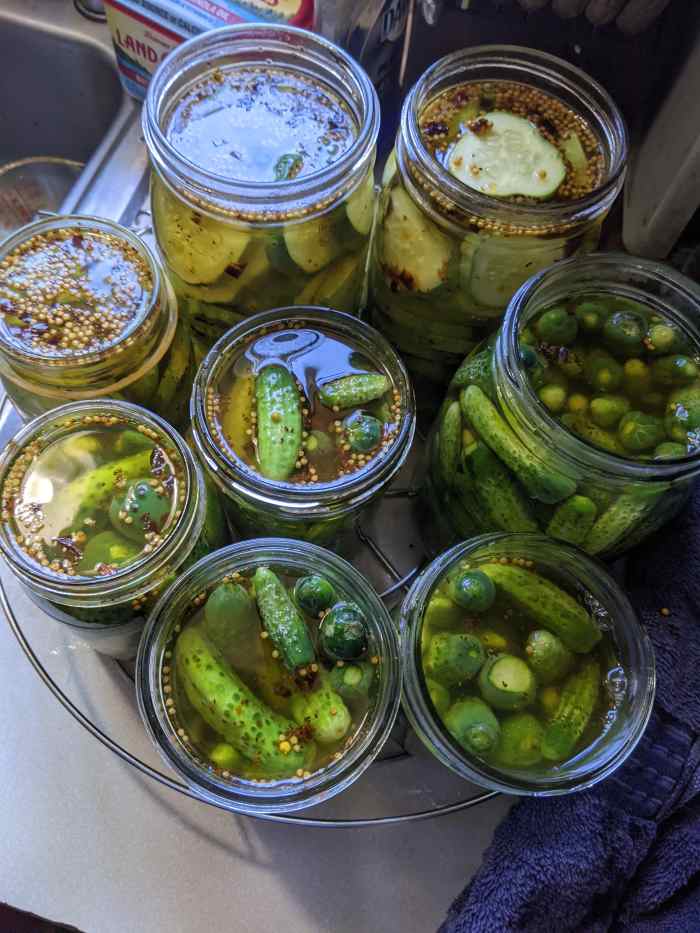 Pickles Bread and Butter Flavor Mrs. Wages Mix HubPages