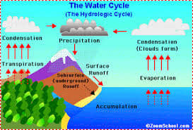 The water cycle is just a cycle that happens here on earth and it never ends, because the water is recycled again and again. Now in a parallel way the life forces of the universe can form a continuous cycle that never ends.
