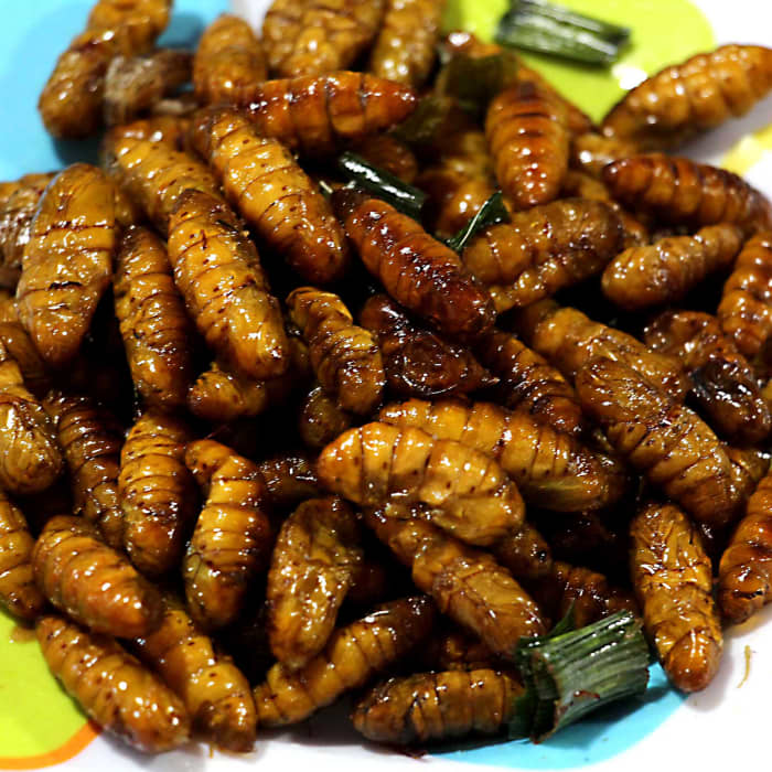 A plateful of - well - shall we just call it local food? I think these are a kind of beetle grub known locally as 'non mai'.