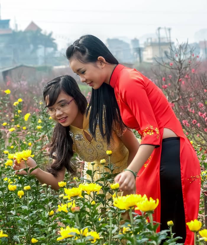 Gardening helps to promote social interaction, which reduces feelings of loneliness and isolation.