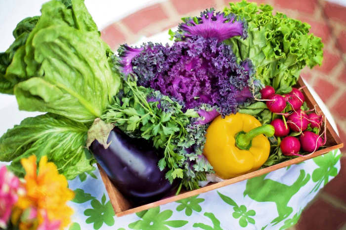 Growing a vegetable garden can help those with eating disorders heal their relationship with food.