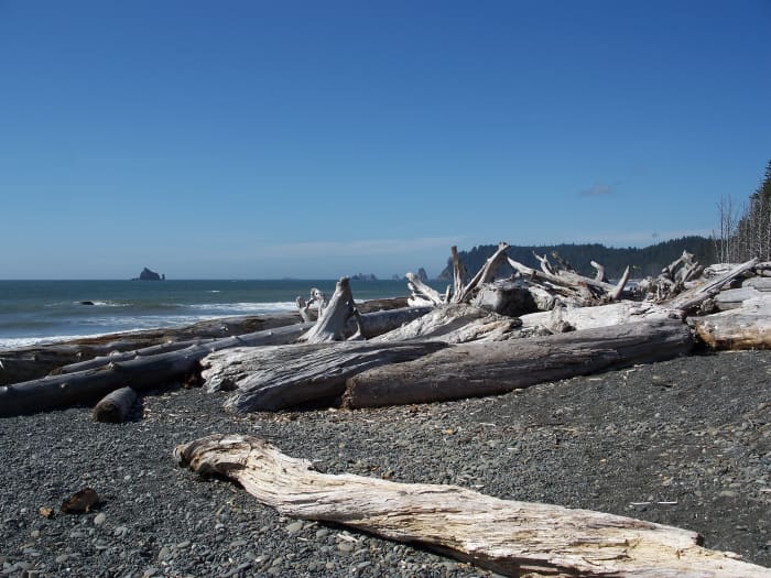 Olympic National Park Rving On The Washington Coast Hubpages 