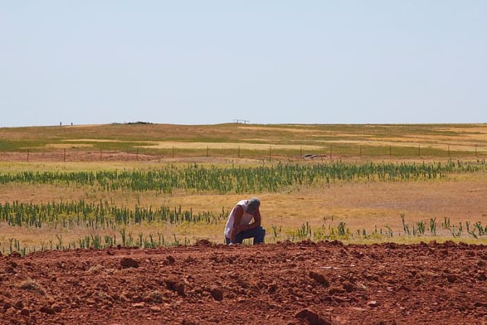 Parched ground in Middle America, 2012. Image courtesy Al Jazeera English, Flickr, and Wikimedia Commons.