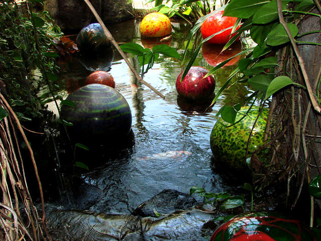 Within the Conservatory are many climate zones, after seeing the butterflies in the Pacific garden, visit the rest.