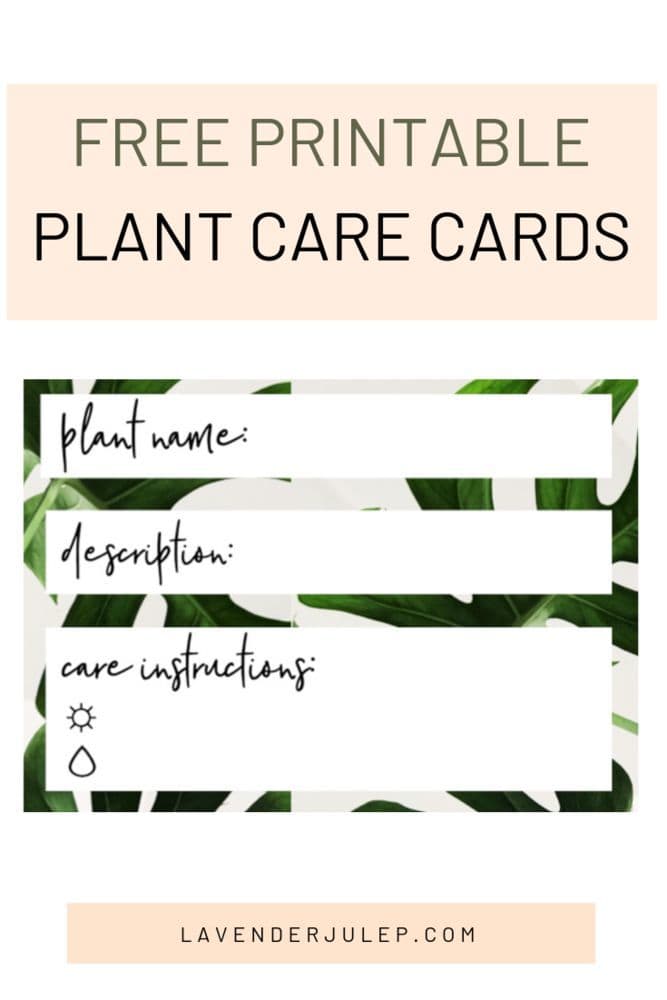 You can make your own tags, or use a printable tag like this one from Lavender Julep. Either way, make sure they're labelled!