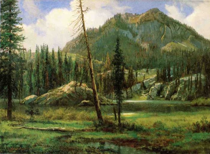 Sierra Nevada Mountains Painted by Albert Bierstadt about a hundred years before we visited. The trees are bigger, now. :)
