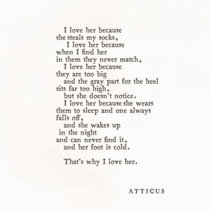 Critical Review On 'Love Her Wild' by Atticus - HubPages