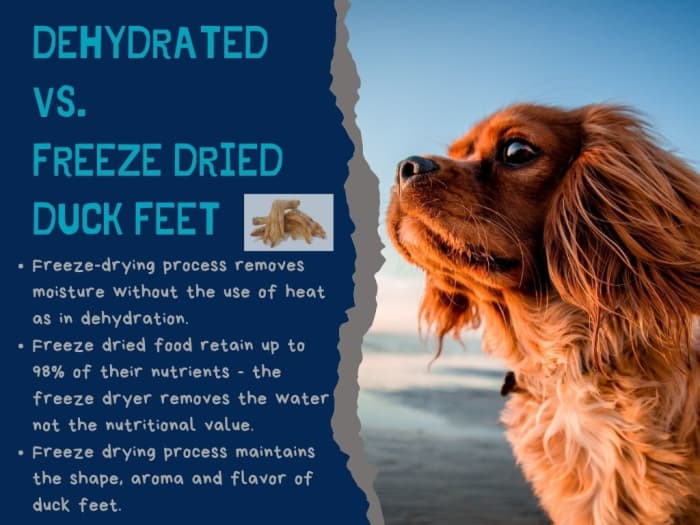 Freeze-dried duck feet retain most of the nutrients, shape, aroma, and flavor of duck feet - better than dehydrated duck feet but more expensive.