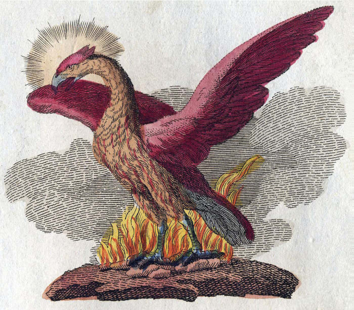 An illustrator’s depiction of the phoenix