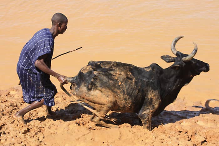 2010. Mali in North Africa is one of the poorest countries in the world, and it is 90% Islamic. It is also one of the freest nations in africa - a nation which deserves our support in all kinds of ways