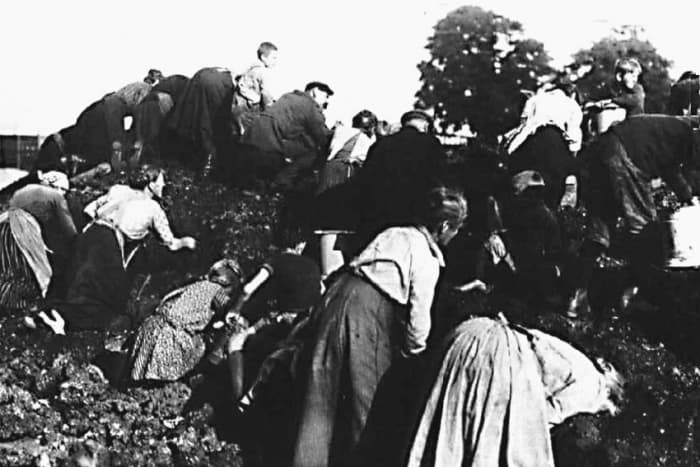 1929. The depression of the late 1920s hit a Germany ravaged by world war and 1920s hyperinflation very hard - a situation which encouraged the rise of Nazi fascism. Here poverty stricken Germans scavange for coal