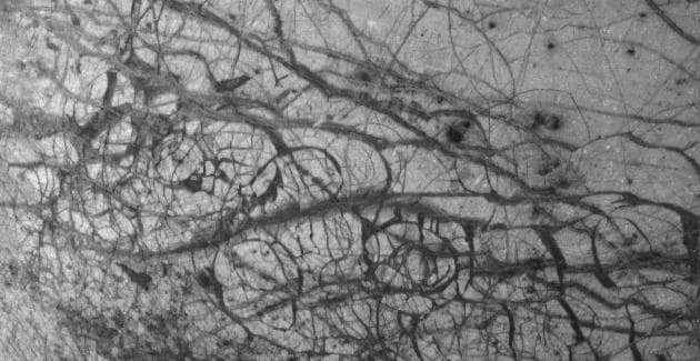 The much cracked surface of Europa, which may result from underwater heating of the surface ice (this is a black and white image from the Galileo mission)