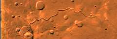 Scamander Vallis, a meandering Martian valley in which it is believed water once flowed. (An image from the Viking Orbiter)