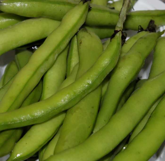 High Fiber Foods List The Importance of High Fiber Foods for a Healthy