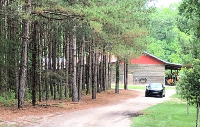 The area on the Murdaugh’s property where Maggie and Paul were found on June 7, 2021. Photo courtesy of the Augusta Chronicle.