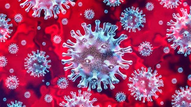 This is our enemy number one, it looks even pretty, but it has killed 750,000 people already ,and we do not know yet when and how we can control it. We hope that a vaccine can be found soon, so that we can go back to live a normal life.