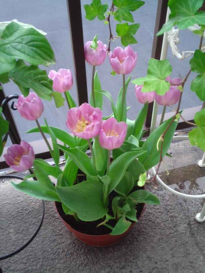 large-outdoor-urns-decorative-planters