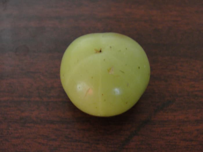Amla
