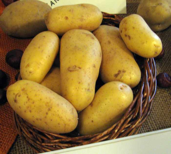 Potatoes